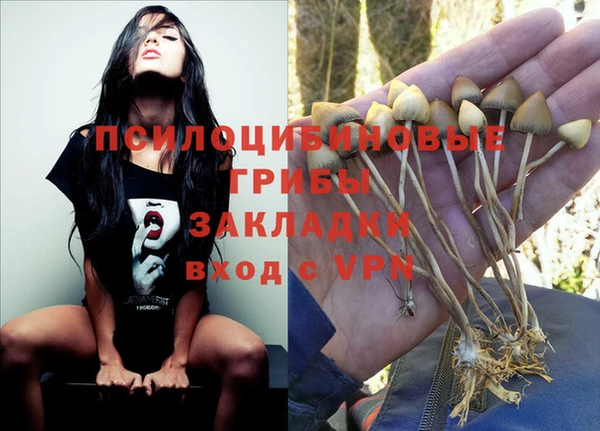 ECSTASY Заволжск