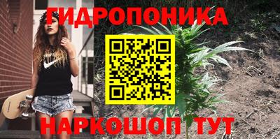 бошки Кунгур