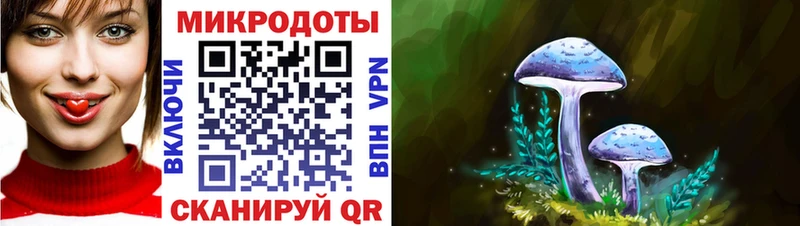 купить наркотики сайты  Избербаш  мега ТОР  Галлюциногенные грибы MAGIC MUSHROOMS 
