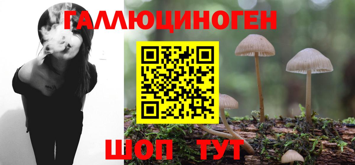 Галлюциногенные грибы Psilocybine cubensis Избербаш